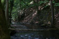 DSC04314