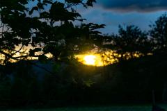 DSC00213