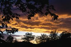 DSC00228