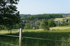 DSC05790