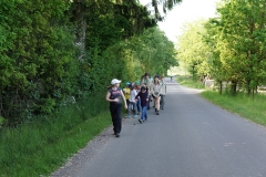 DSC05816