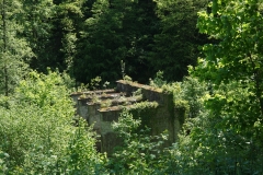 DSC06088-2