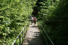 DSC06101