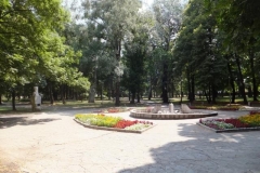 DSCF2688