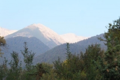 DSCF2731