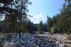 DSCF2751