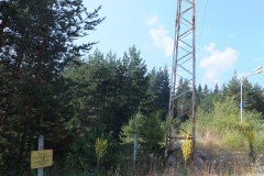 DSCF2758