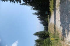DSCF2773