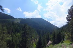 DSCF2799