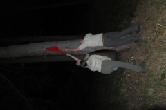 DSCF3063
