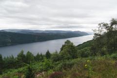 DSC02501