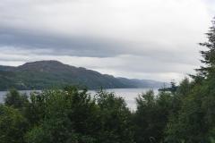 DSC02526