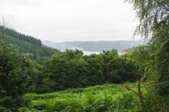 DSC02538