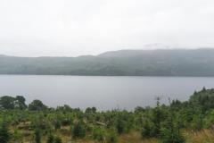 DSC02545