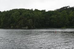 DSC02596