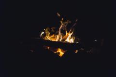 DSC02903