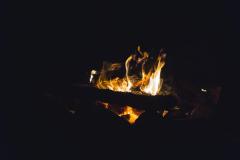 DSC02904