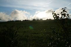 DSC06334