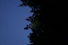 DSC06384