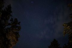 DSC06446