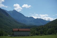 DSC06890
