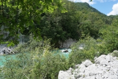 DSC06900