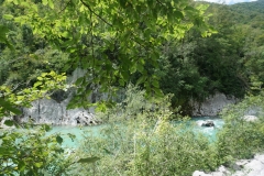 DSC06901