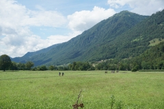 DSC06943