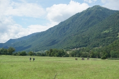 DSC06944