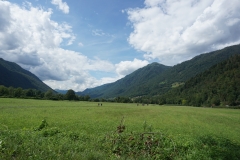 DSC06945