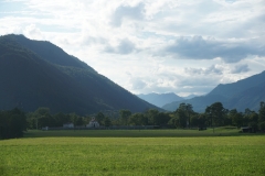 DSC06950