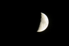 IMG_2480